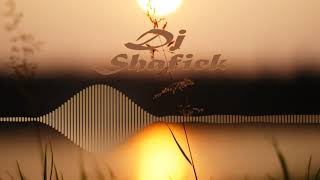 Ed Sheeran & Justin Bieber - I Don't Care (Dj Shafiek Mix)