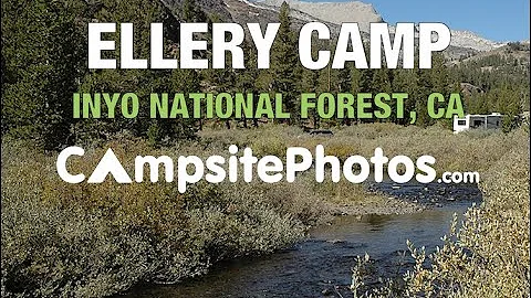 Ellery Camp - Inyo National Forest, CA