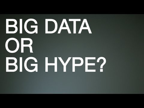 Insight - Big Data or Big Hype? - Rina Gee Kupferschmid-Rojas