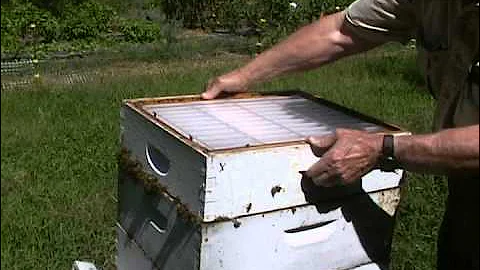 Hogg Halfcomb Comb Honey System Part 1