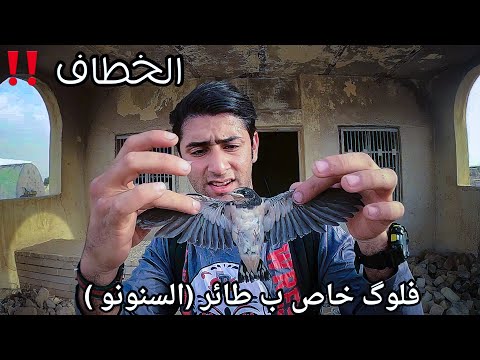 فيديو: كيف تمسك الخطاف