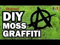 Diy moss graffiti  man vs pin 24