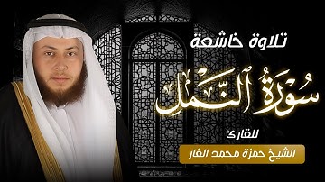 تلاوة خاشعة تأسر القلوب | الشيخ حمزة الفار - سورة النمل كاملة
