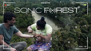 SONIC FOREST (English)