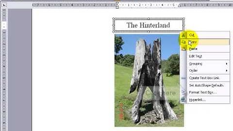 Inserting Text Box Microsoft Word 2003