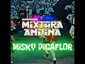MISKY PICAFLOR - MIXTURA ANDINA (Video Lyrics)
