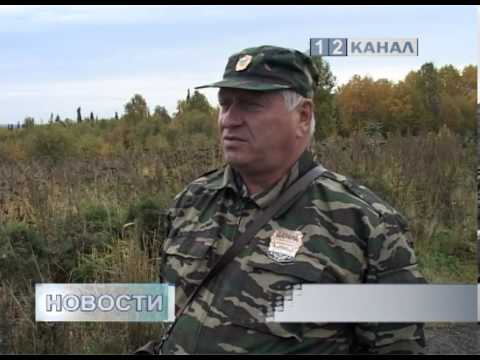 Как напугать медведя
