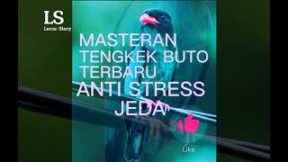 Masteran Tengkek Buto Jeda Anti Stres