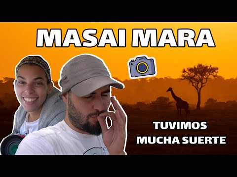 Video: El Parque Nacional Masai Mara es la reserva natural más famosa de Kenia. Características Masai Mara