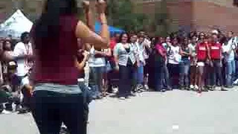 DGC Yard Show- Lambda Theta Alpha