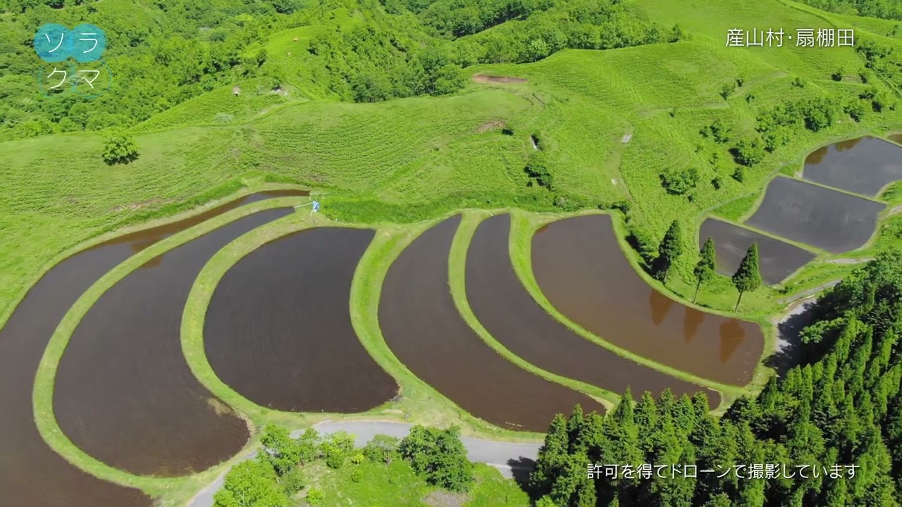 Ogi Rice Terraces, Ubuyama Village – June 3, 2023 – Sora-Kuma