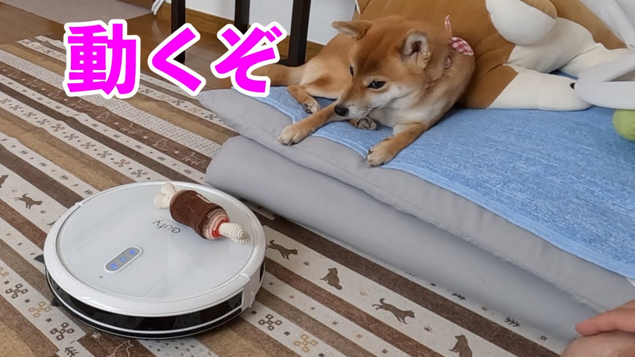 SoftBank ロボット掃除機犬、お父さんデザイン 2026年最新】ソフトバンク お父さん ロボット掃除機の人気アイテム