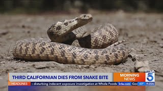 3rd Californian Has Died From Snake Bite This Year
