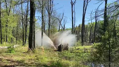 Tree felling compilation 2021(so far!)