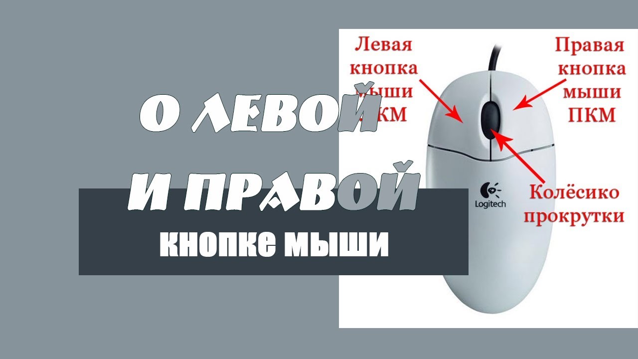правая и левая кнопка мыши. правая и левая кнопка мыши. два щелчка левой кнопкой мыши. правая кнопка мыши. компьютерная мышь функции кнопок.