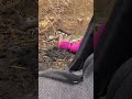 Video Share