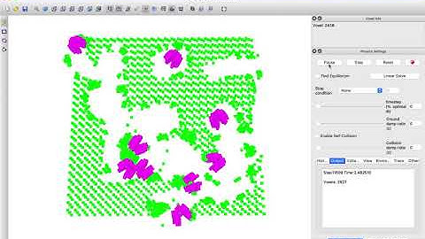Xenobot H shapes achieve two rounds of replication in simulation (v2).