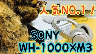 最強ワイヤレスヘッドホン決定戦！前半　SONY WH-1000XM3レビュー