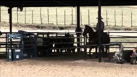 Clay Tryan Roping Tip- How to Get Faster.mov