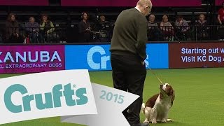 Dog takes a dump at Crufts AGAIN! | Crufts 2015