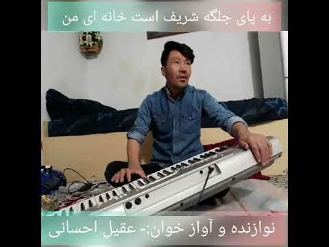 دوربیتی وطنی به پای جلگه آواز خوان عقیل احسانی وطنی دوبیتی های هزارگی دوبیتی هزارگی