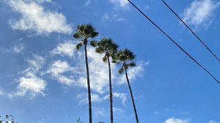 when sunday comes around / Marlon Funaki Live Looping (full version)