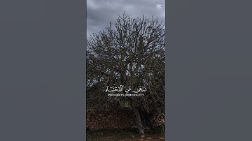 القرآن الكريم.تلاوة جميلة #استغفرالله #راحة_نفسية #اكسبلور #لايك #حالات_واتس #استغفار