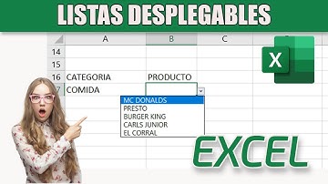 Crear una LISTA DESPLEGABLE con datos que cambian dependiendo de lo que tenga una celda en EXCEL