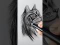 Ilustrando un gato con lápices de dibujo