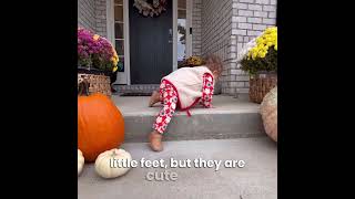 Little Love Bug Company Mila Boot Moms Reviews - Barefoot Shoe Heaven For Kids