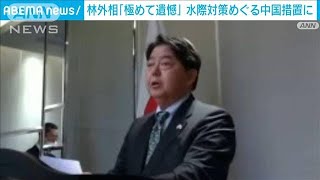 林外務大臣、中国に抗議　ビザ発給停止「極めて遺憾」(2023年1月11日)