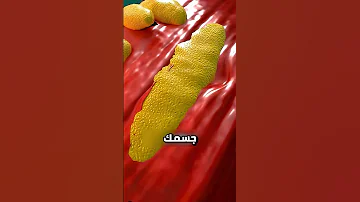 كيف تنمو العضلات Shorts 
