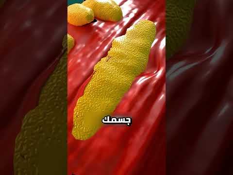 كيف تنمو العضلات 
