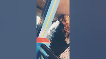 حديقة الطيور 