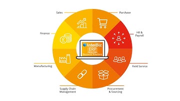 IntelBiz AIO ERP Business Solutions - Explainer Video