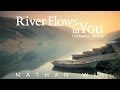 River flows in you  yiruma piano orchestral version ft nathan wu
