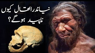 Why Neanderthal Got Extinct | Human Evolution Chap-4 | اردو | हिंदी