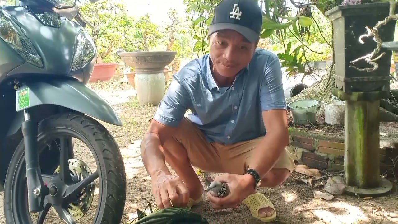 Giao lưu dòng thổ bầu đủ bài