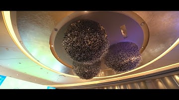 Dun & Bradstreet India | PSU Government Summit 2022