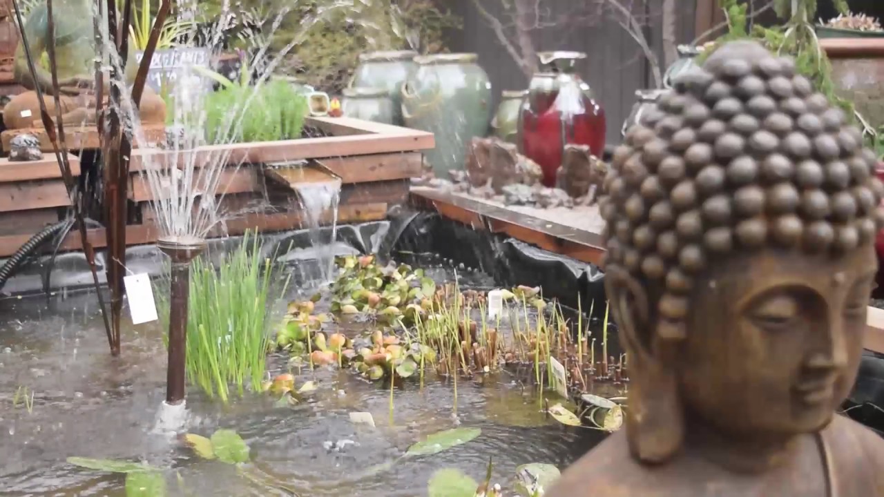 sierra water gardens survives