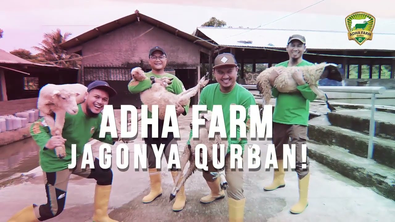 ⁣Program Live Sale Hewan Qurban 1443 H | Adha Farm