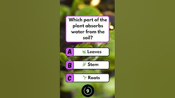 Which part of the plant absorbs water from the soil? #brainteaser #puzzle #quiz #fun
