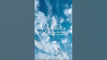 سورة الأنفال - فارس عباد