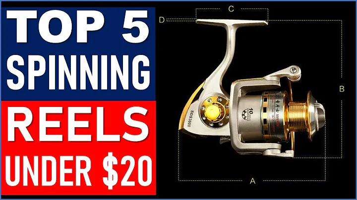 TOP 5 Best Spinning Reels Under $20 in 2025