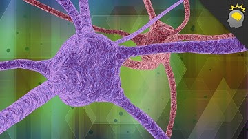 How Malleable is Our Memory? - Epic Science #26