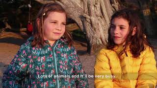 Island Identity - What does Jersey mean to you?