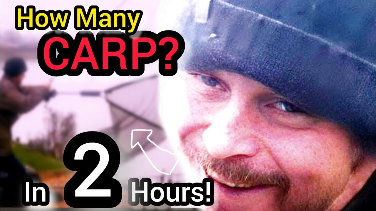 Quick Session on Birch lake (Coking Farm Fishery) Turns into a Carp Frezey! 