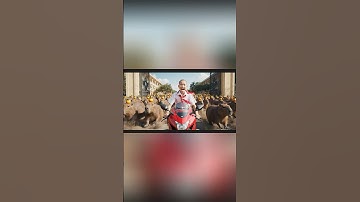 Hùng trọc dẫn 1 tỷ capybara vào trường học và cái kết #capybara #shorts