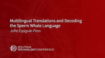 Multilingual Translations and Decoding the Sperm Whale Language
