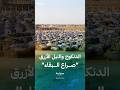 الدنكوج والنيل الأزرق صراع البقاء بين أطراف النزاع بالسودان 